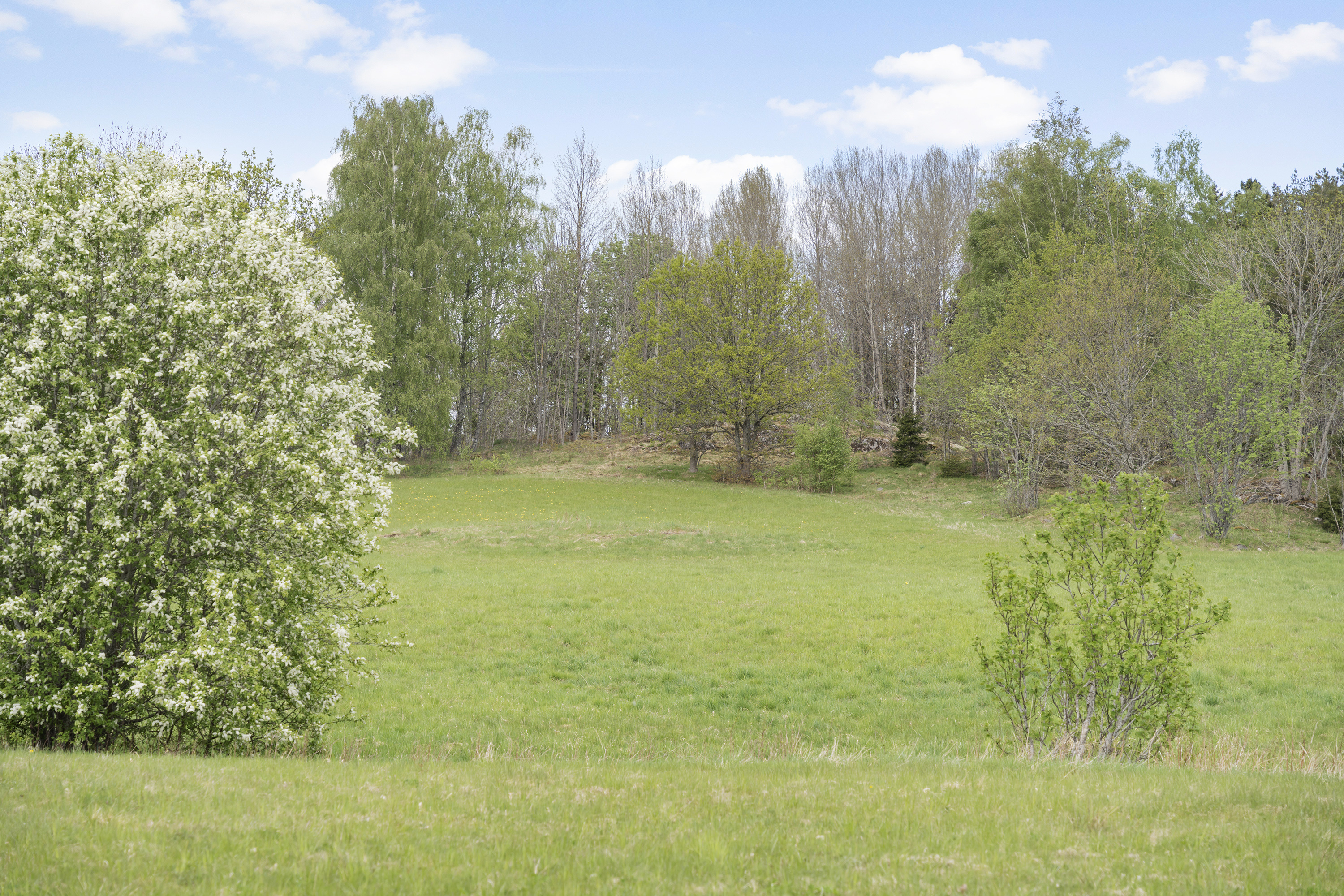 På tomten återfinns vacker natur med porlande bäck, ståtliga  askar och vidsträckt utsikt. 